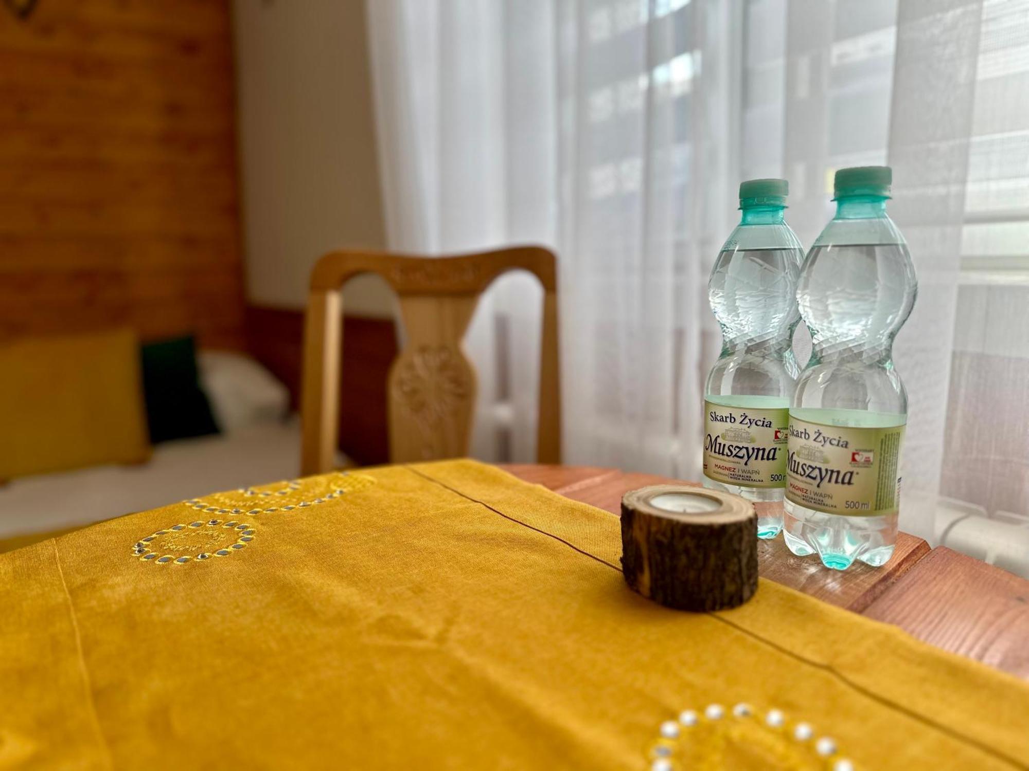 Gorska Ostoja Apartman Muszyna Kültér fotó